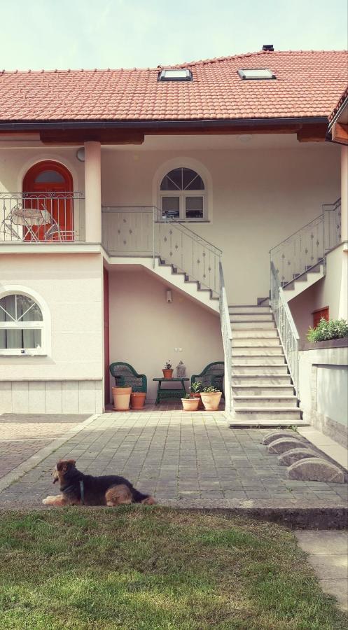 Prenocisca Angelin Hram, Tiny Apartments Markovec Exterior photo