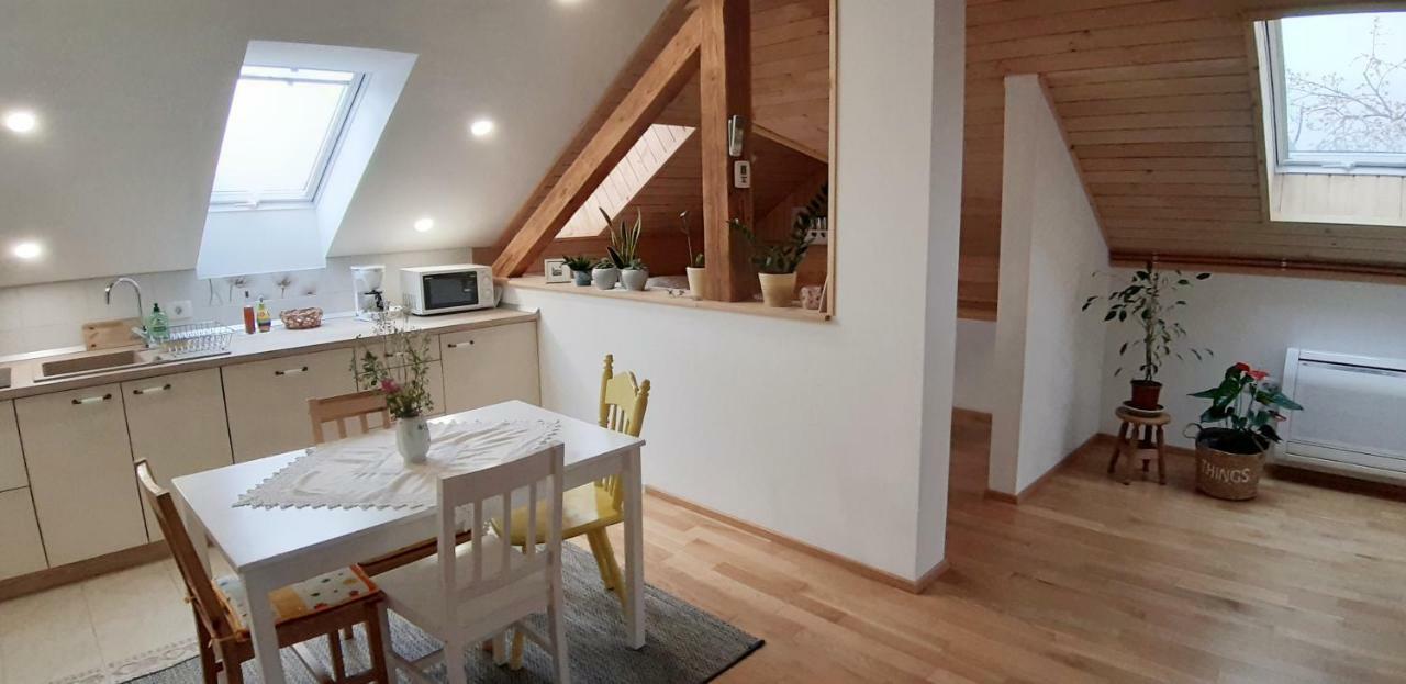Prenocisca Angelin Hram, Tiny Apartments Markovec Exterior photo